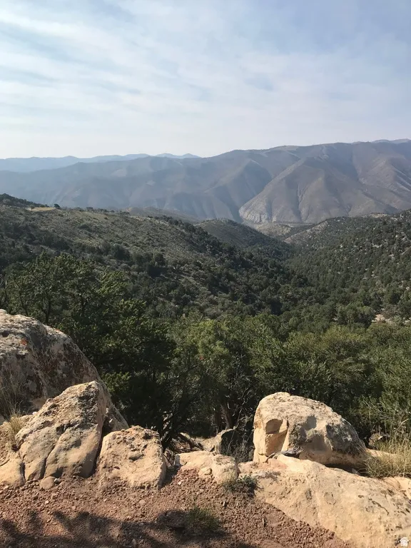Mountain view featuring a heavily wooded area