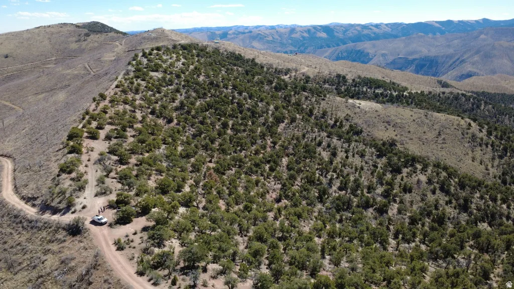 View of mountain background
