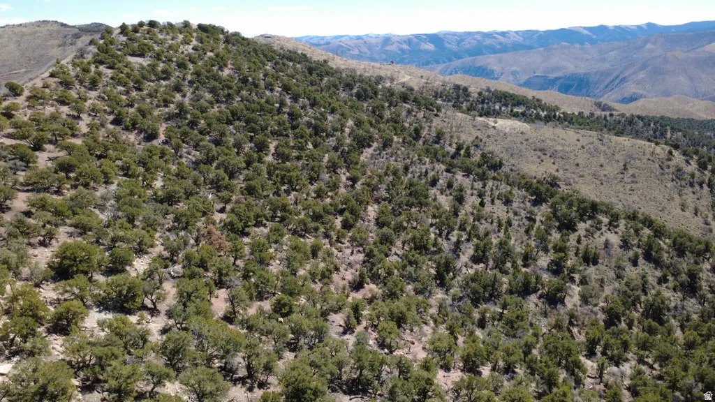 View of mountain backdrop