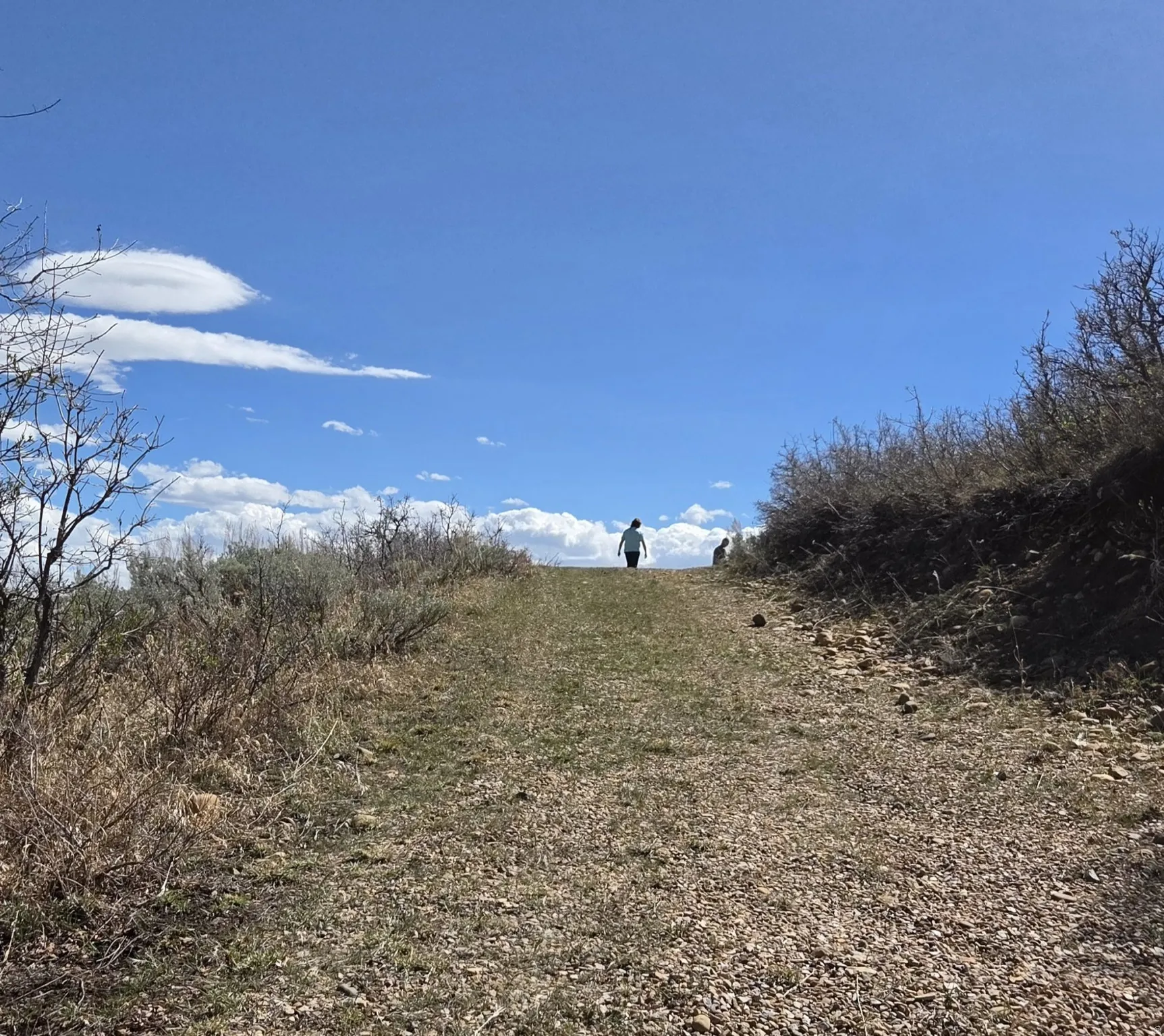 View of local wilderness