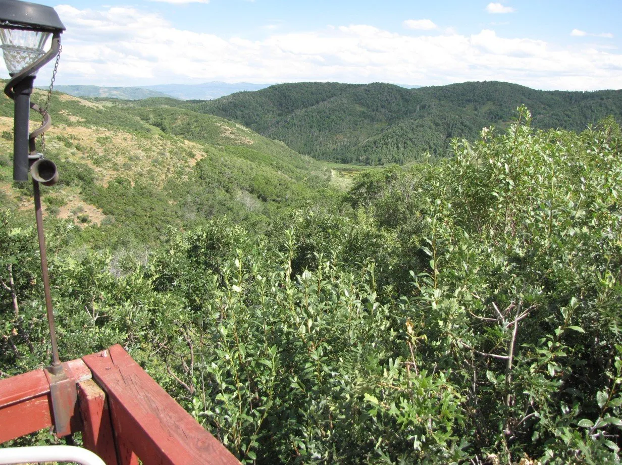 View of mountain background