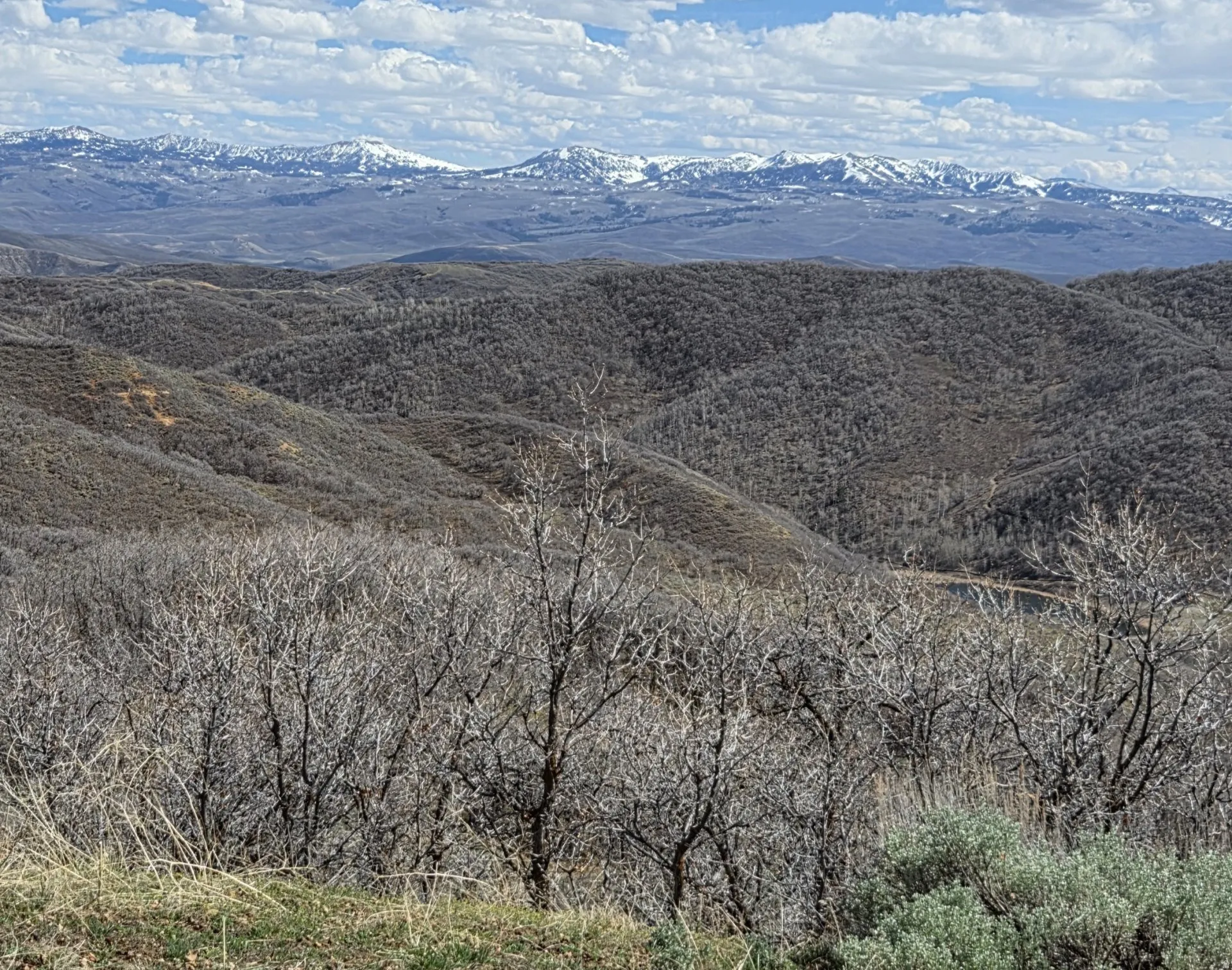 View of mountain background