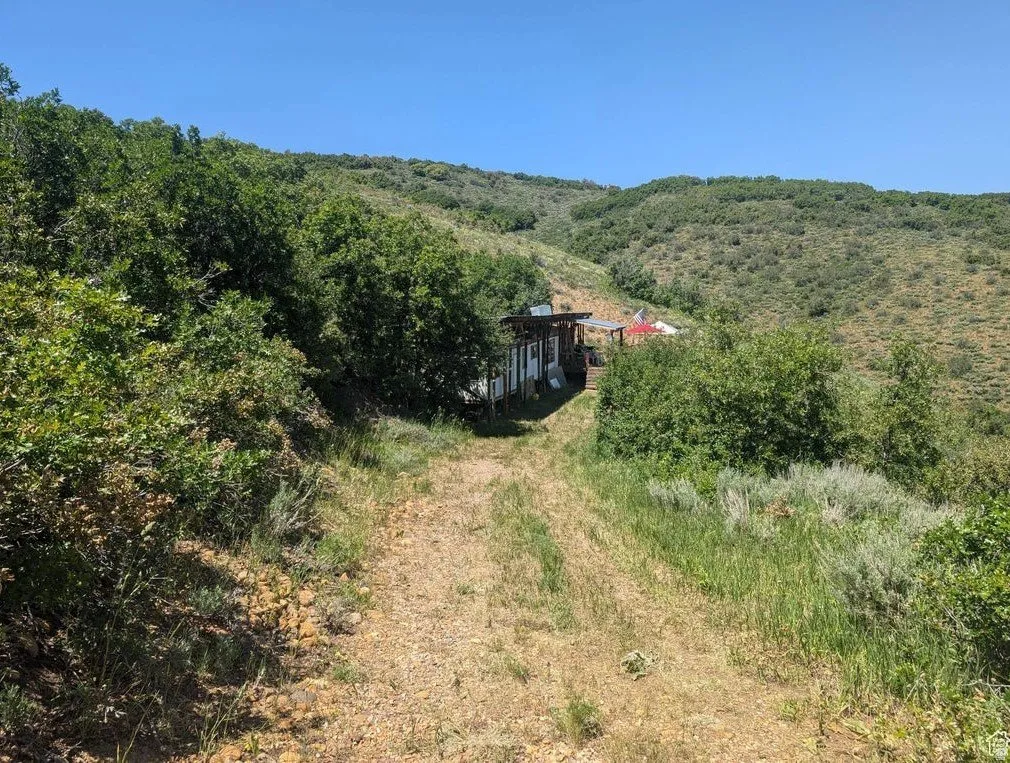 View of mountain backdrop featuring a heavily wooded area