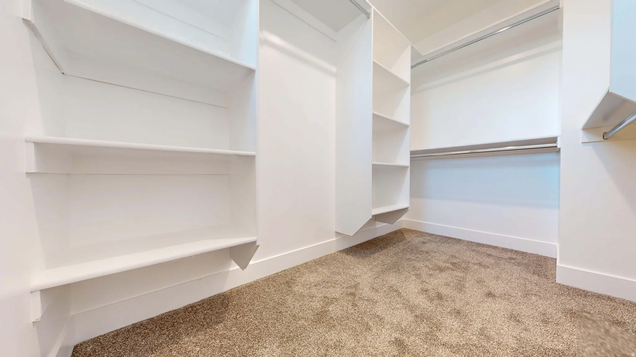 Walk in closet featuring light carpet