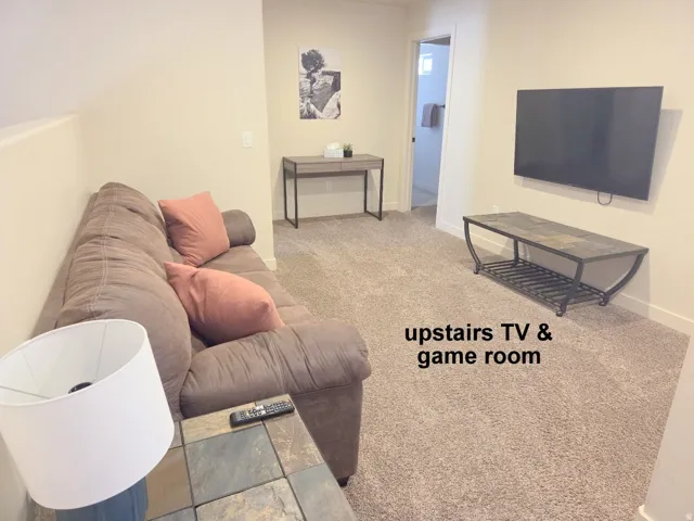 Game & TV room featuring light colored carpet and pull out queen bed.