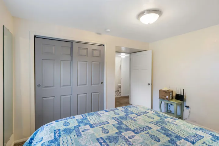 Bedroom with a closet and carpet