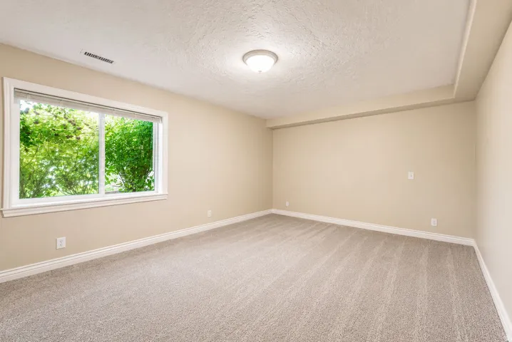 Carpeted room featuring a large window, neutral wall paint, white trim, and a tray ceiling detail