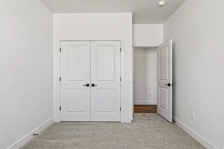 White paneled bi-fold doors with matte black hardware, light grey carpet, and white baseboards
