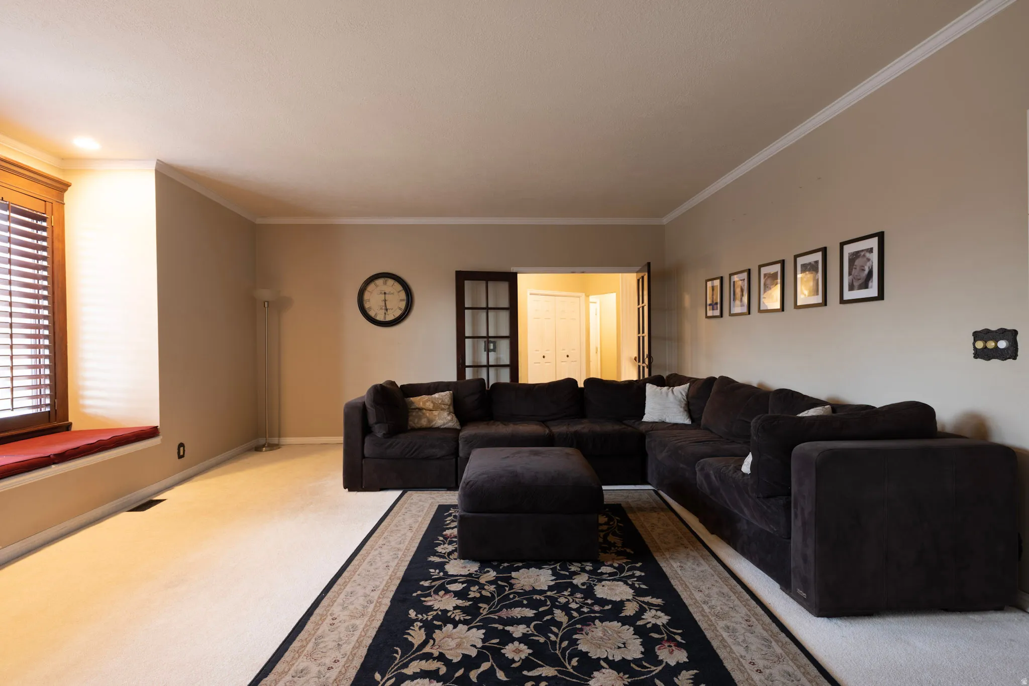 Living area featuring carpet flooring and crown molding