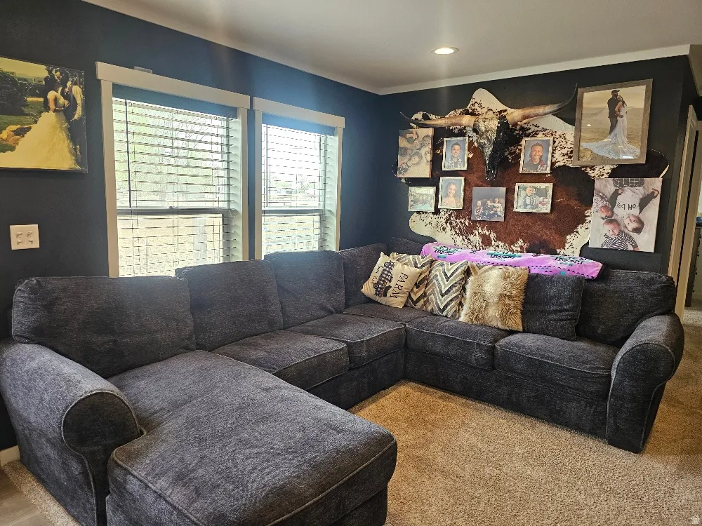 Living area with carpet flooring