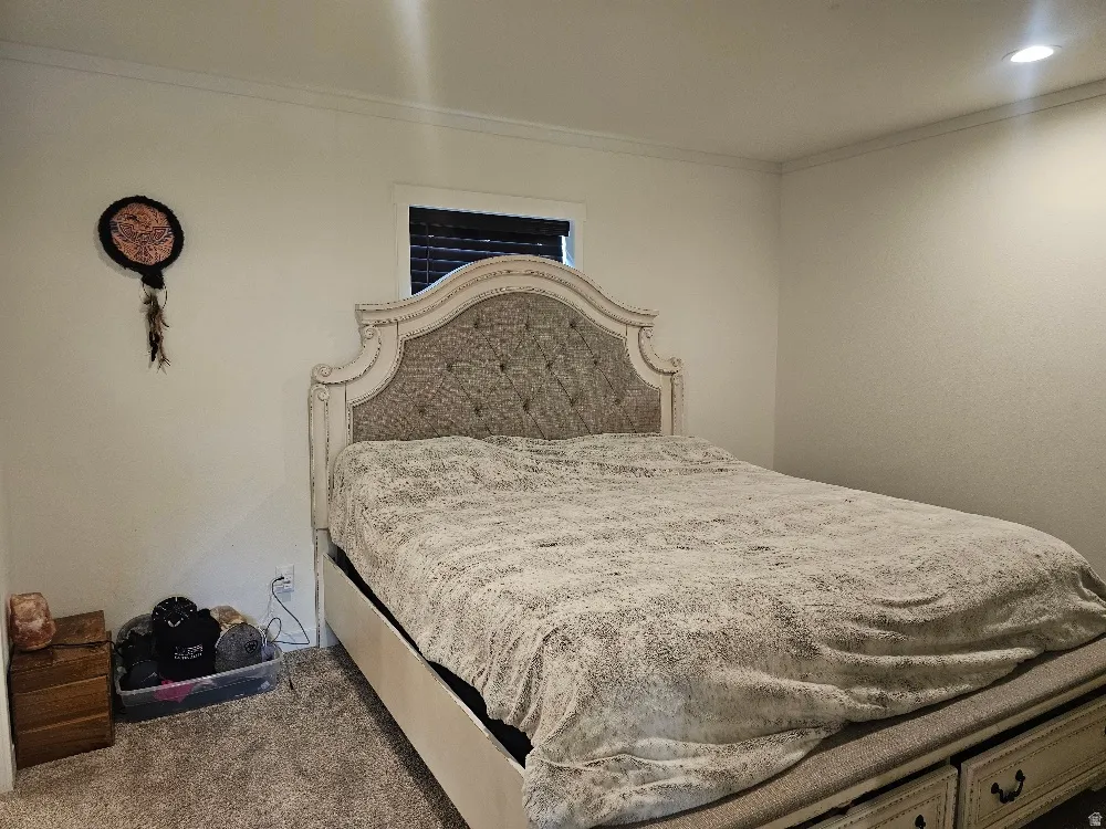 Master Bedroom featuring dark colored carpet and ornamental molding
