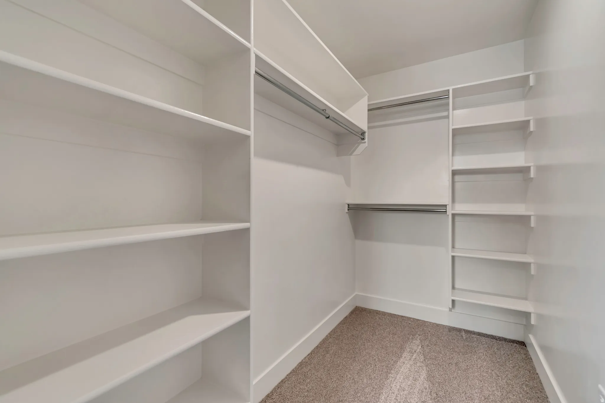 Large walk in closet featuring light colored carpet