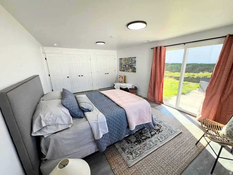 Bedroom with multiple closets and access to exterior