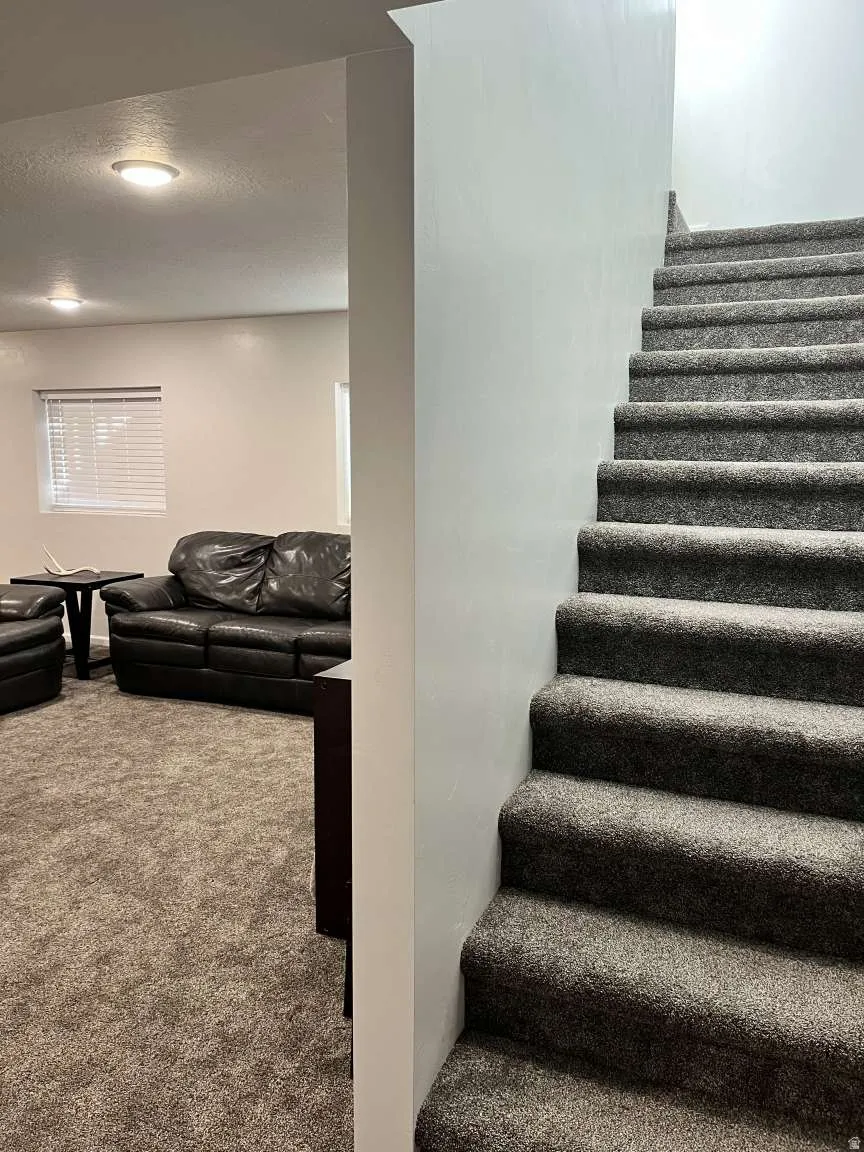 Staircase featuring carpet floors and a textured ceiling