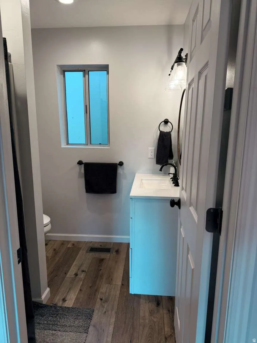 Bathroom featuring dark wood-style flooring and vanity