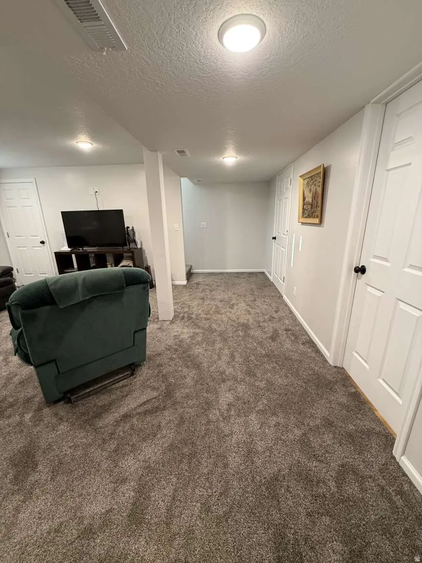 Finished basement featuring a textured ceiling and dark carpet