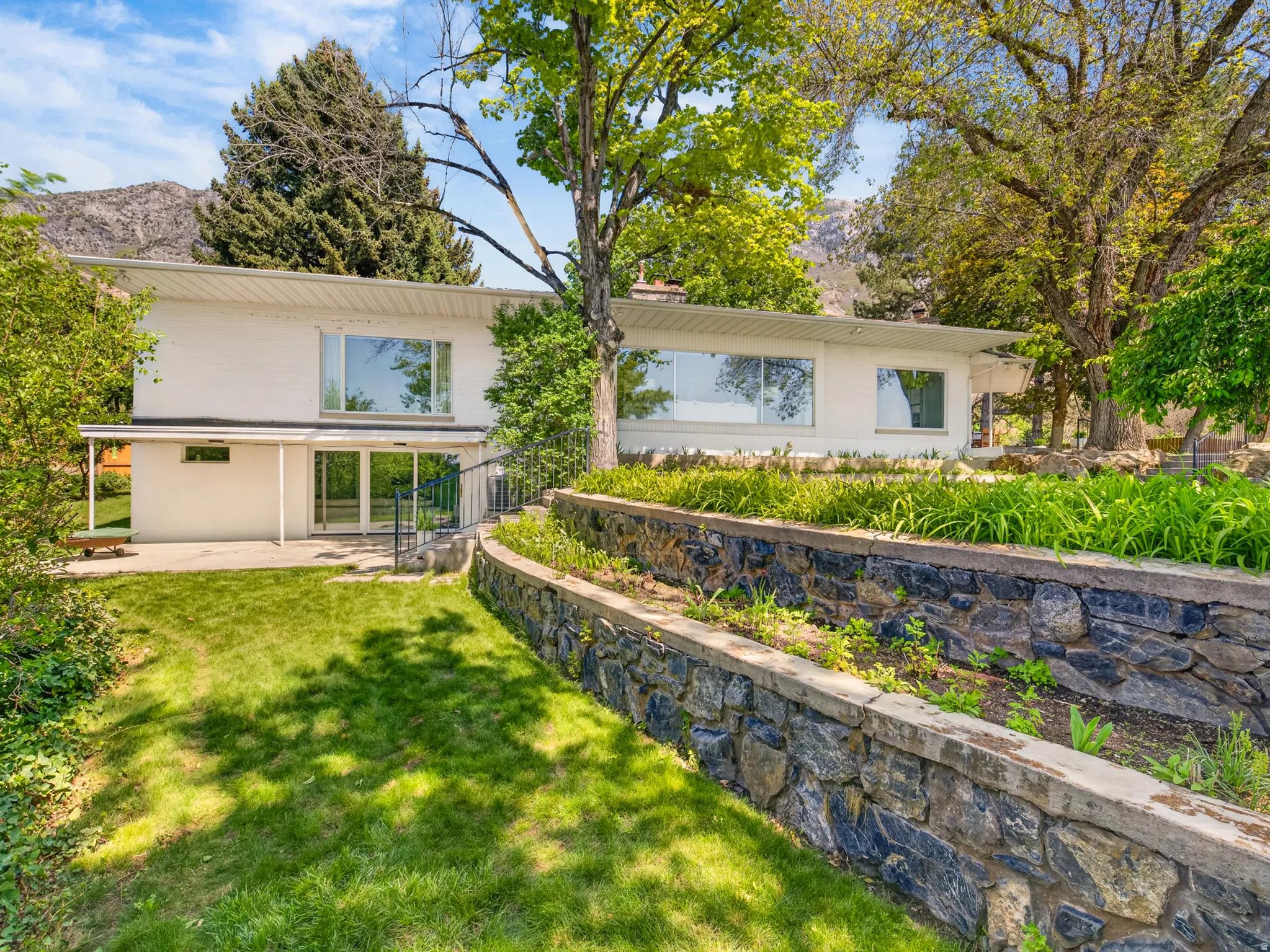 Terraced back yard