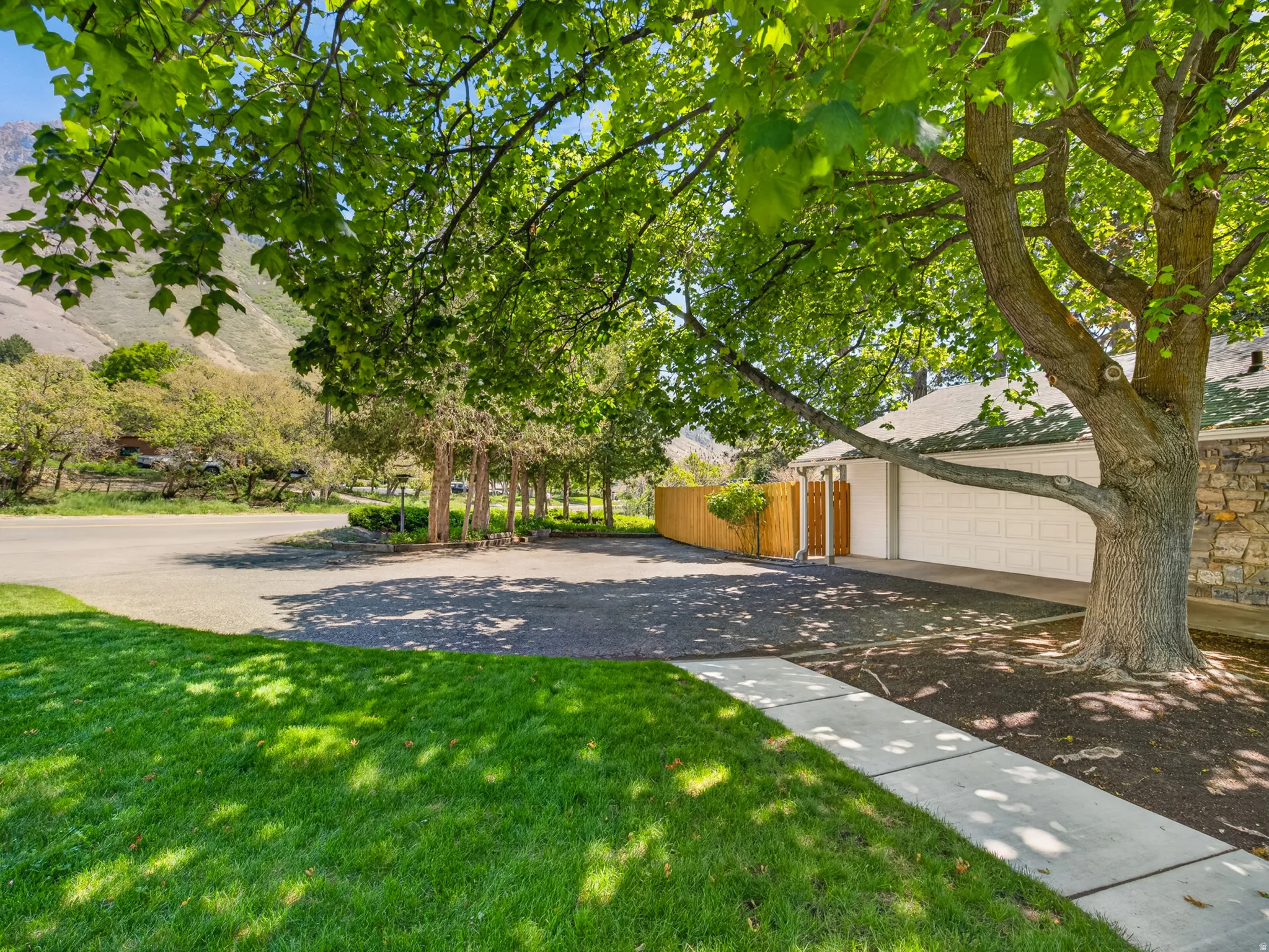Spacious asphalt driveway with an integrated concrete walkway