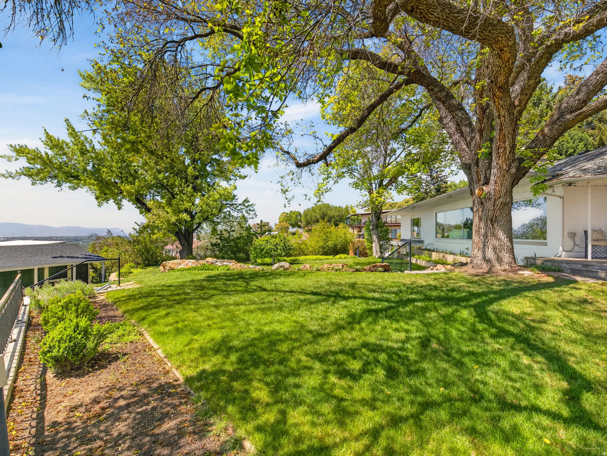 Expansive grassy yard featuring a large mature tree providing natural shade, a surrounding planting bed, and a gravel pathway