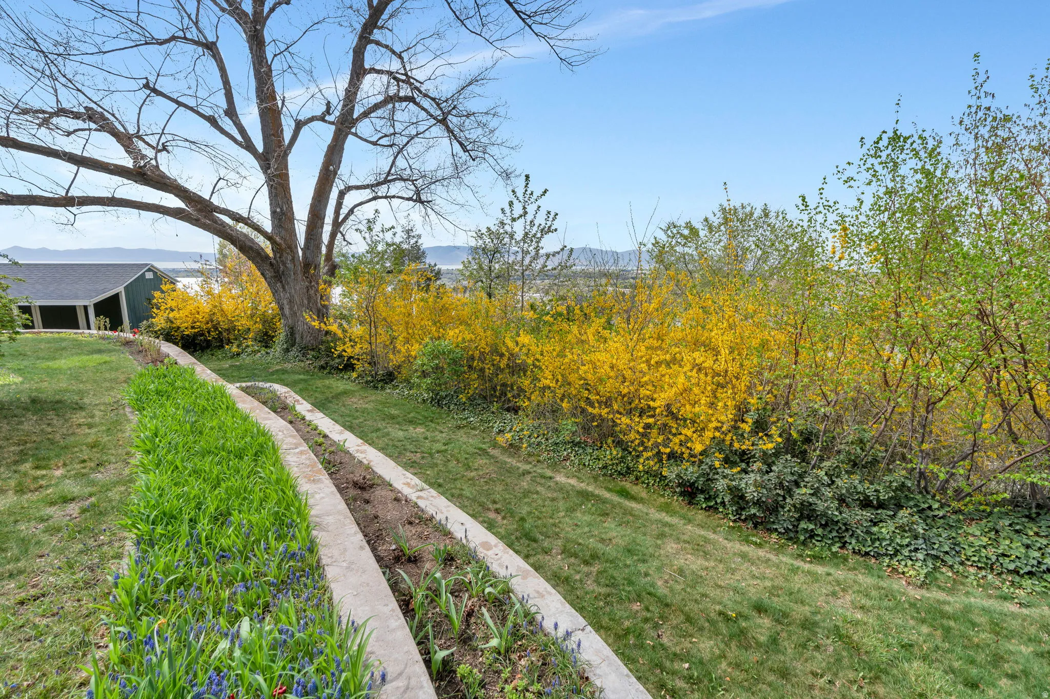 View of green lawn with a mountain view