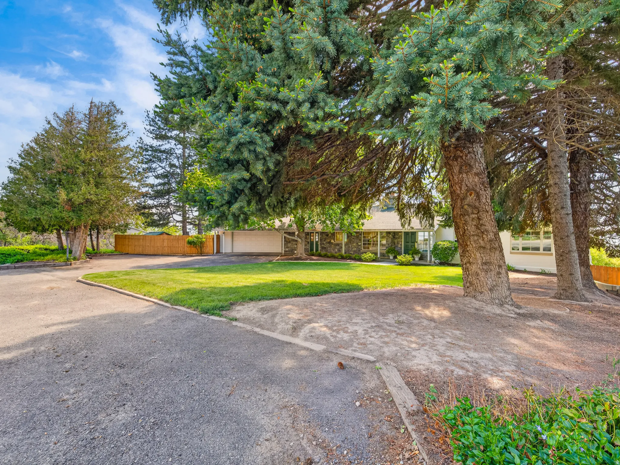 Expansive paved driveway leading to a two-story residence with a stone facade, surrounded by mature evergreen trees and a manicured lawn
