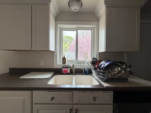 Kitchen featuring dark countertops, ornamental molding, and stainless steel dishwasher