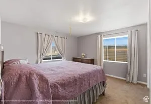 Neutral wall tones with carpeted flooring, featuring multiple windows and a flush mount ceiling light