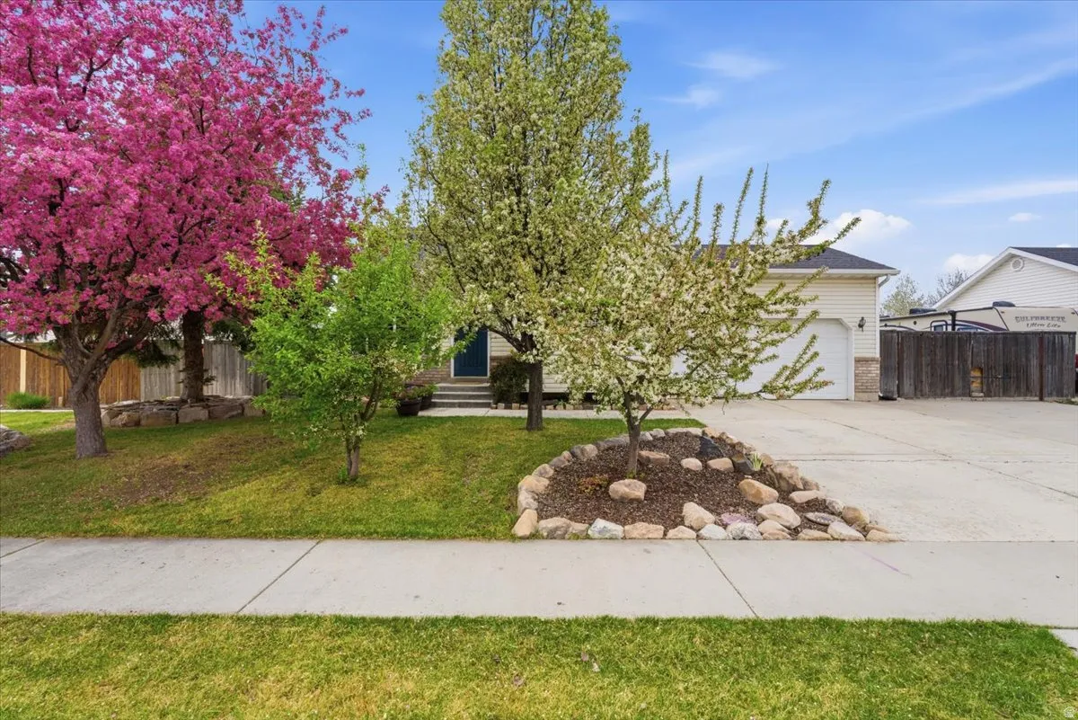 View of property hidden behind natural elements featuring concrete driveway, a garage, and entry steps