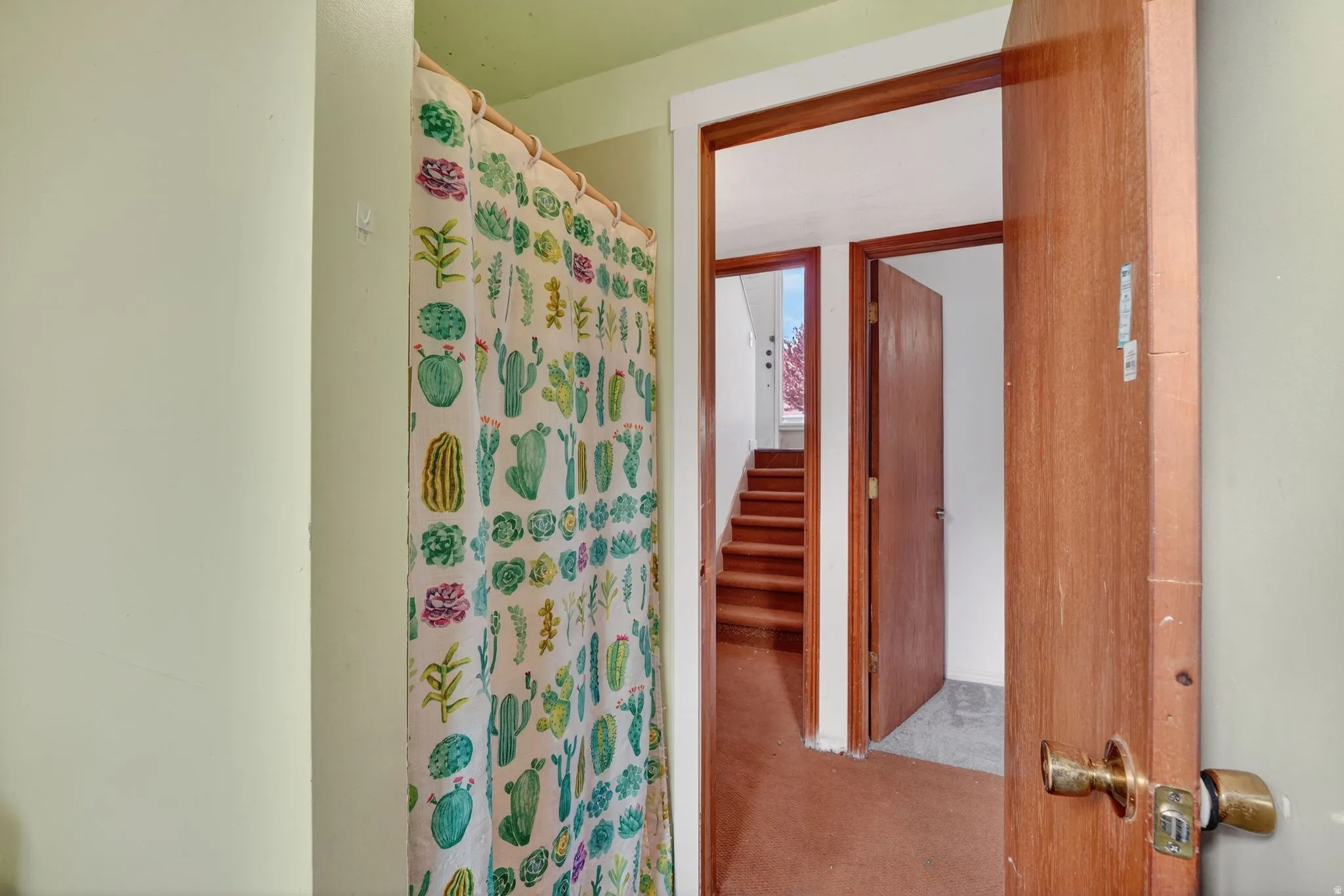 Full bath featuring carpet floors and a shower with curtain