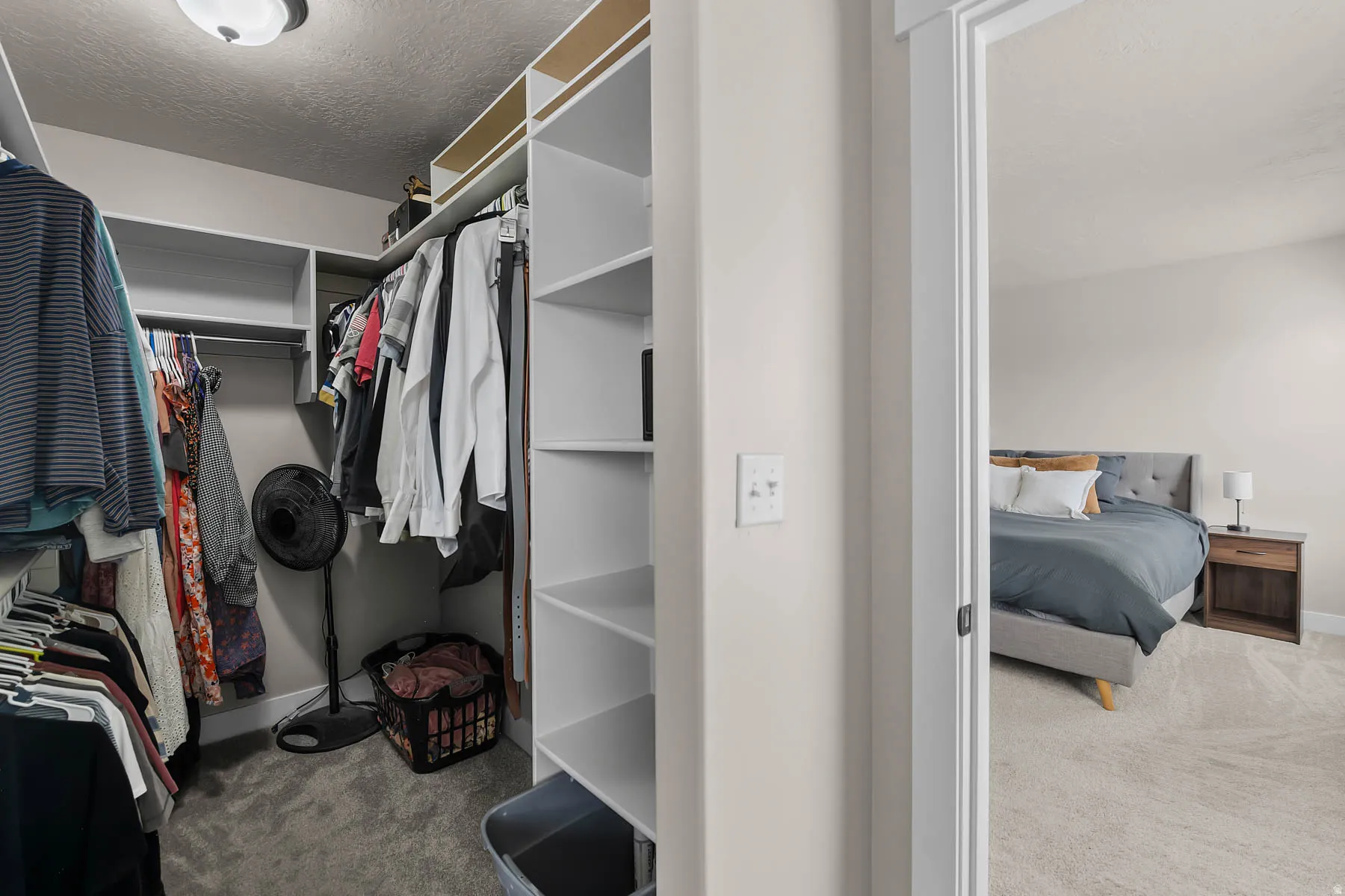 Walk in closet with light colored carpet