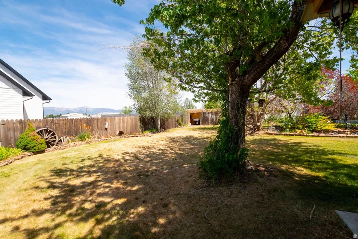 Expansive backyard featuring a natural wood fence, mature shade trees, established landscaping, and a small utility shed