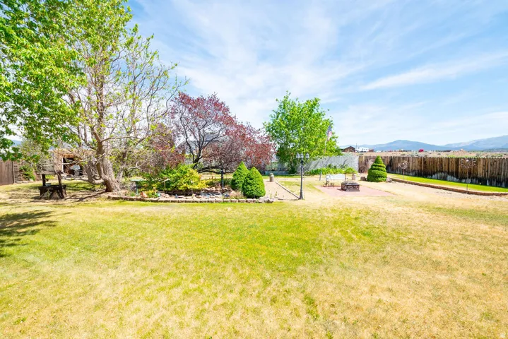 Expansive backyard with a large lawn area, mature trees providing natural shade, and a defined planting bed with varied shrubbery