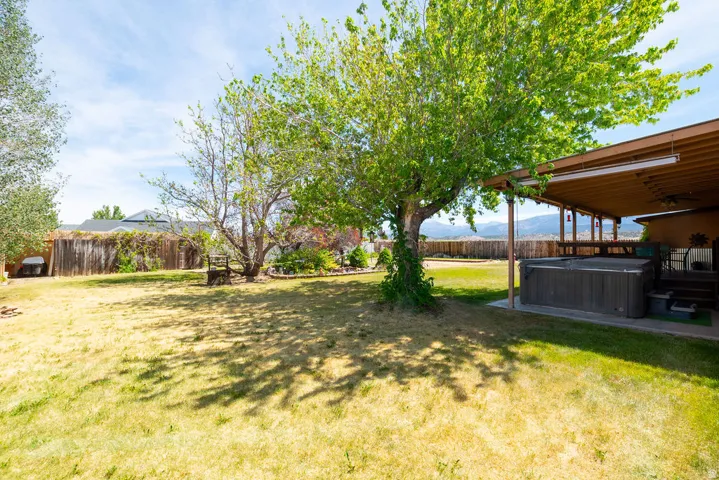 Expansive backyard featuring a large mature tree, wood privacy fencing, and a covered patio with a built-in hot tub