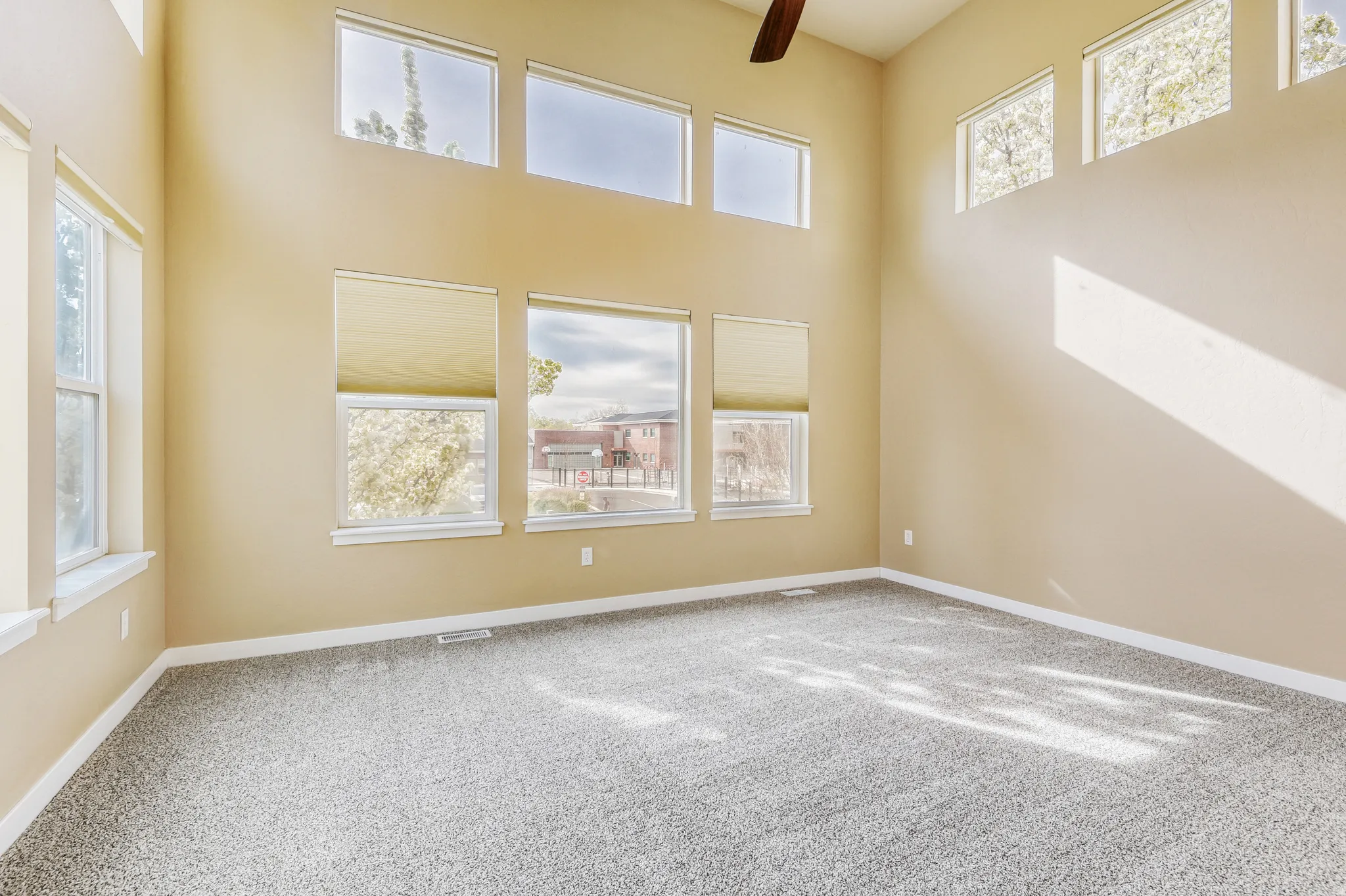 Primary Bedroom w many windows