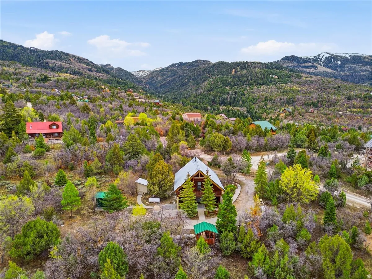 Bird's eye view of mountains