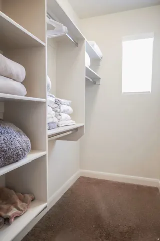 Walk in closet with carpet flooring