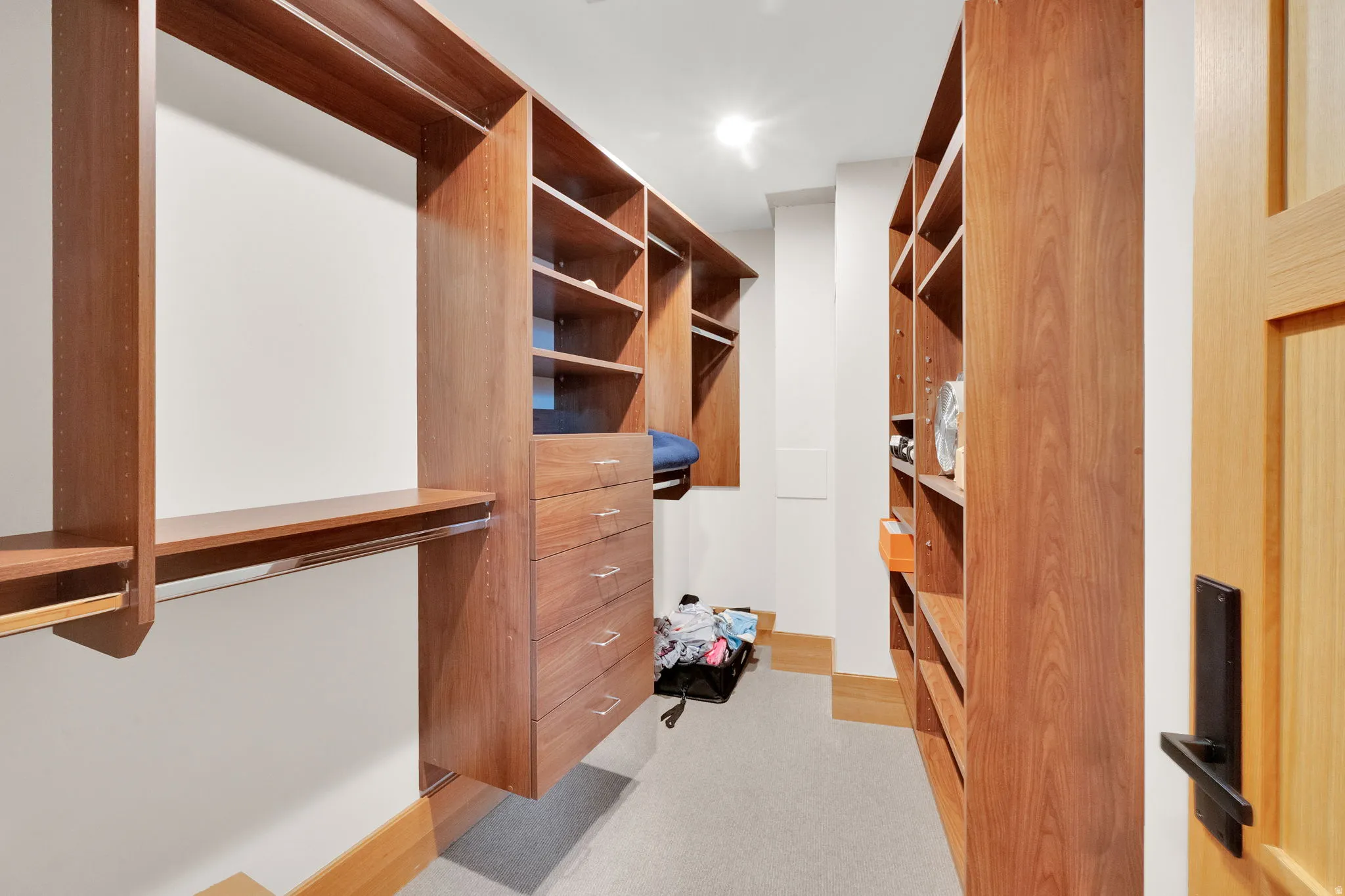 Walk in closet with light colored carpet and built in study area