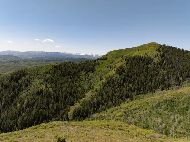 View of mountain backdrop featuring a forest