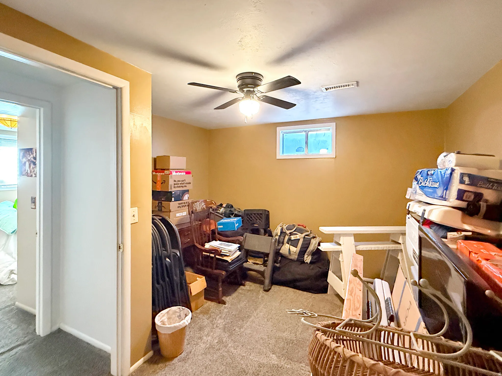 Storage room featuring a ceiling fan