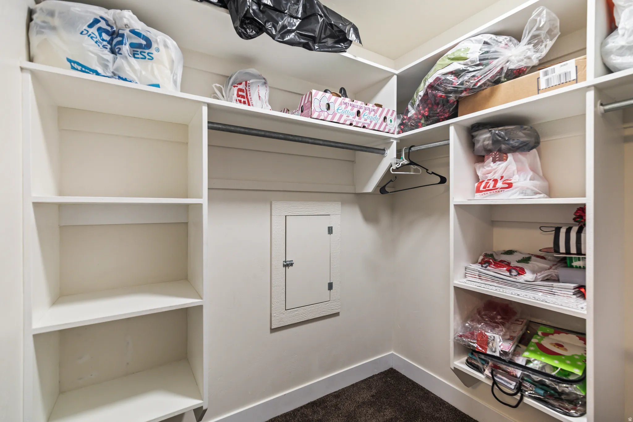 Walk in closet with dark carpet