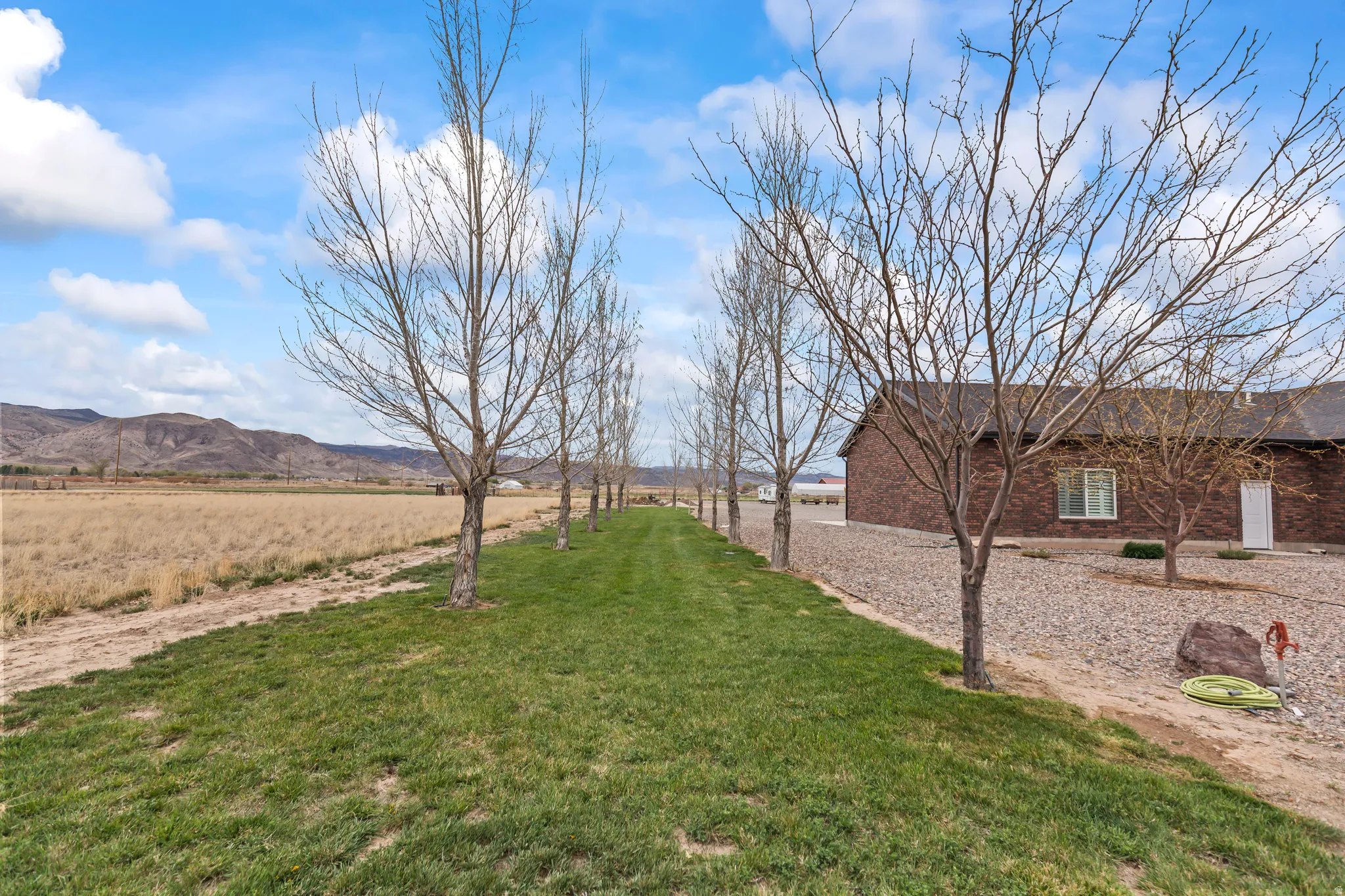 View of grassy yard with a mountain view and a view of countryside