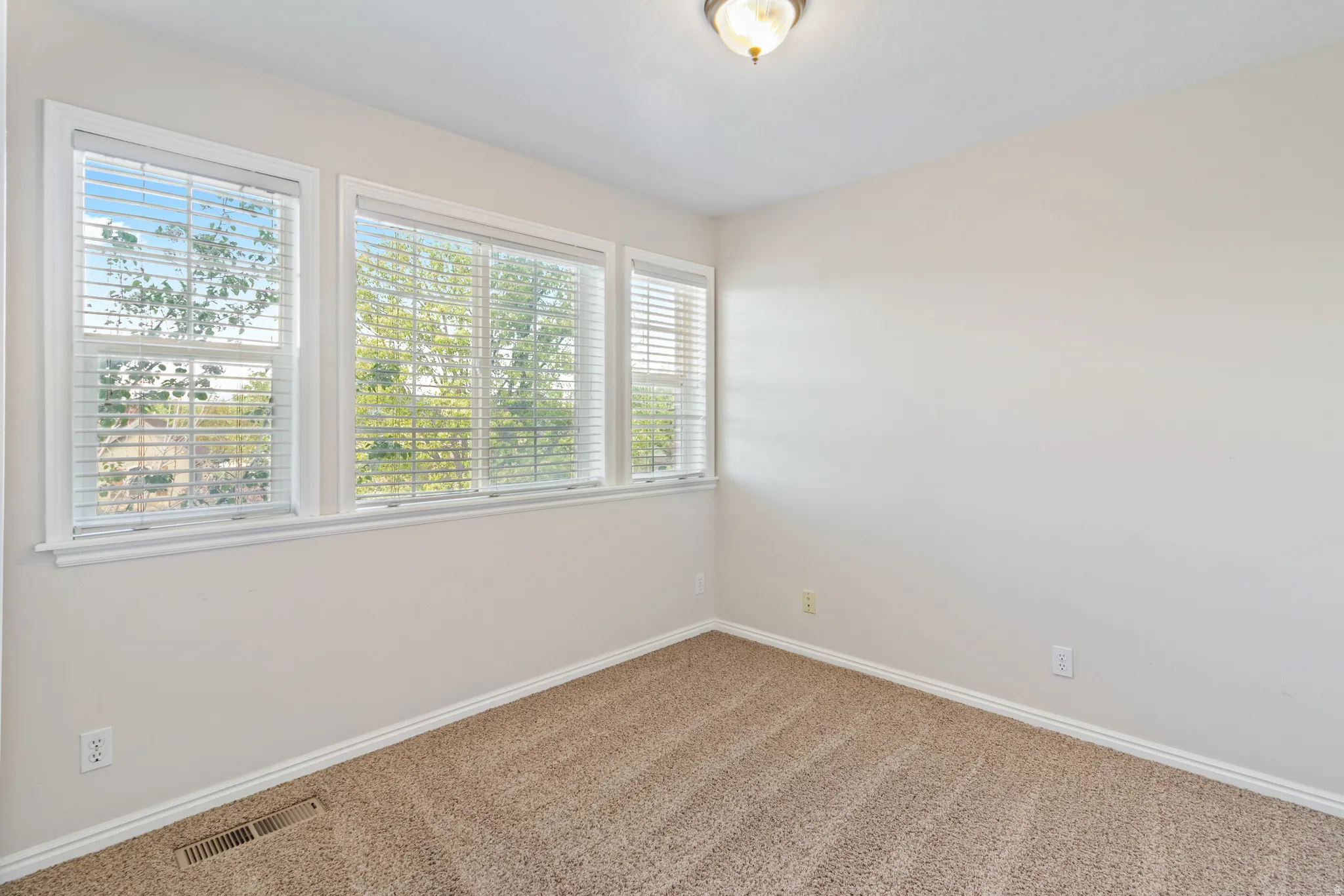 Carpeted empty room with baseboards