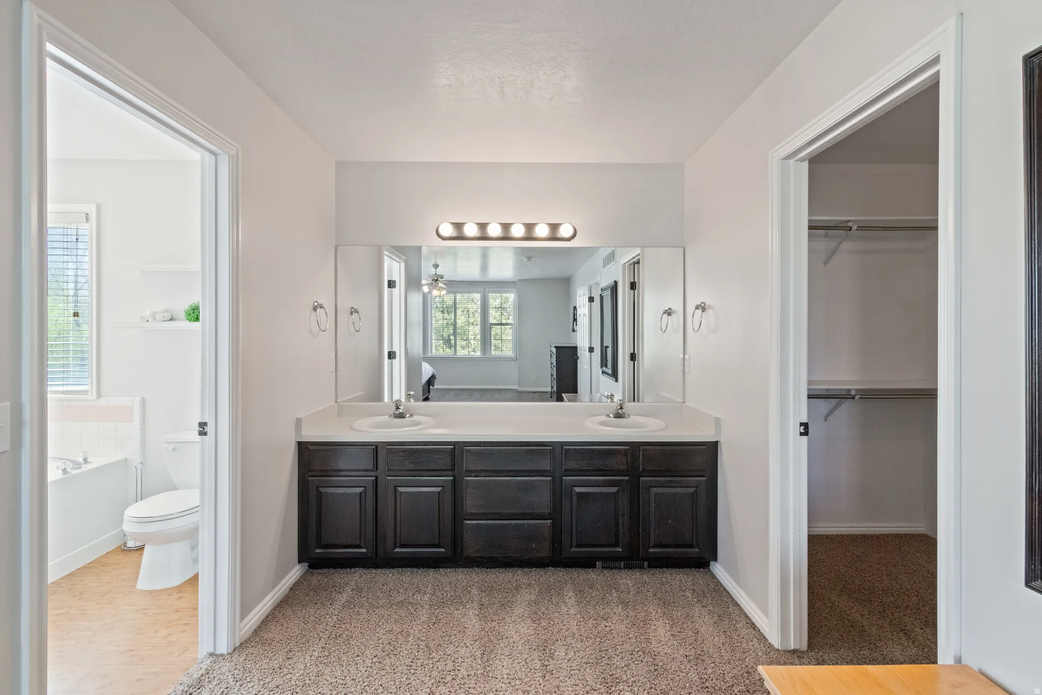 Full bath featuring double vanity, light colored carpet, a bath, and a spacious closet