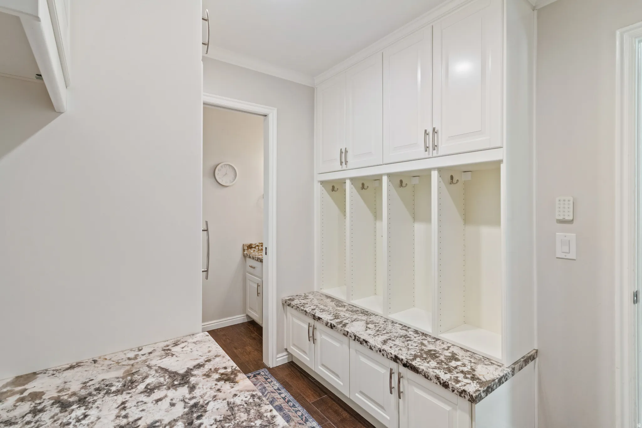 Mudroom with dark wood finished floors and ornamental molding