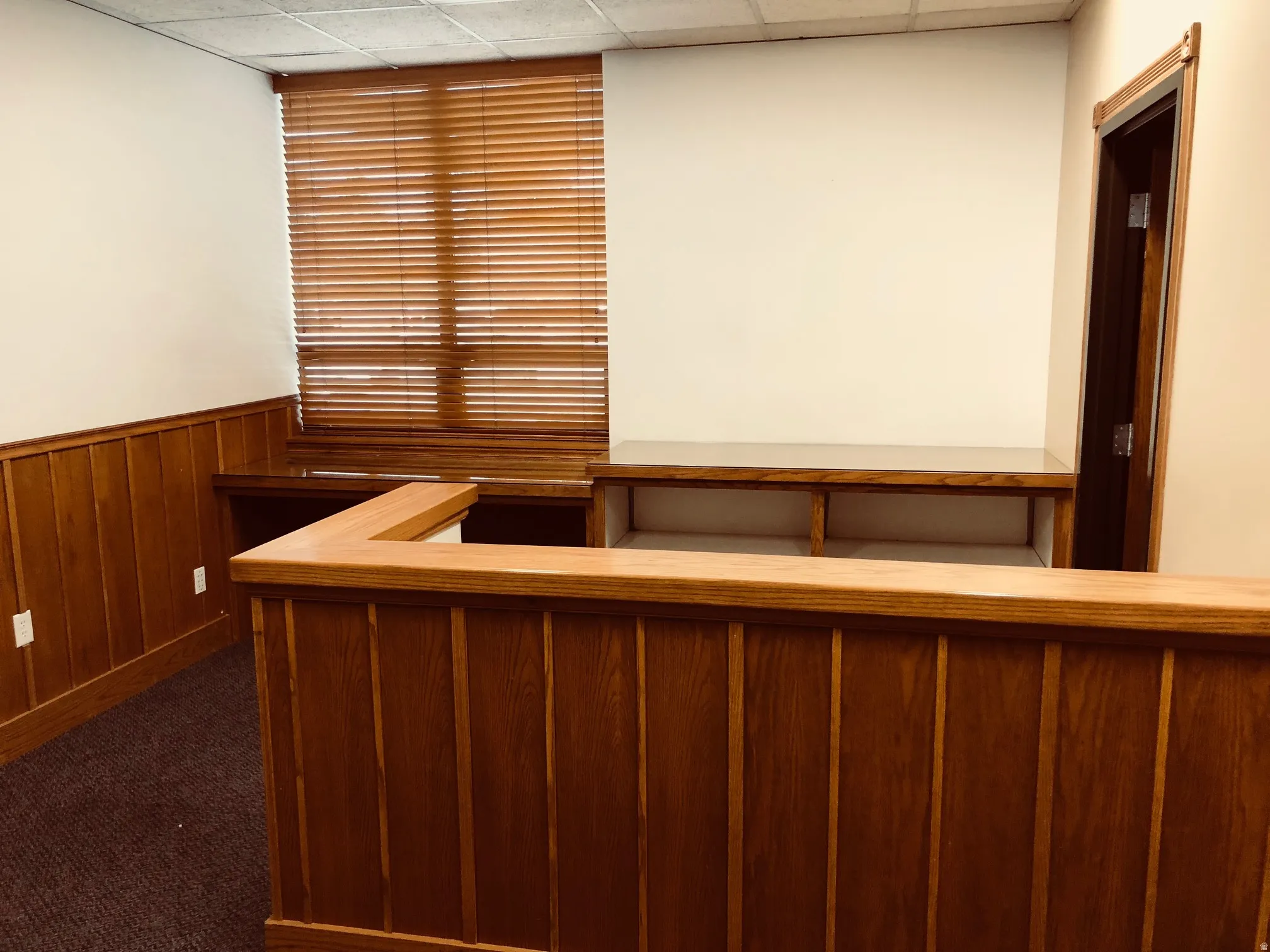 Interior space with wood walls, a wainscoted wall, a paneled ceiling, and carpet floors