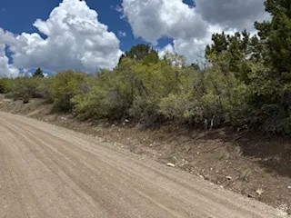 Gravel road along front of the lot