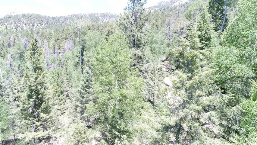 , Hanksville, Utah 84734