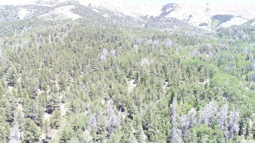 , Hanksville, Utah 84734