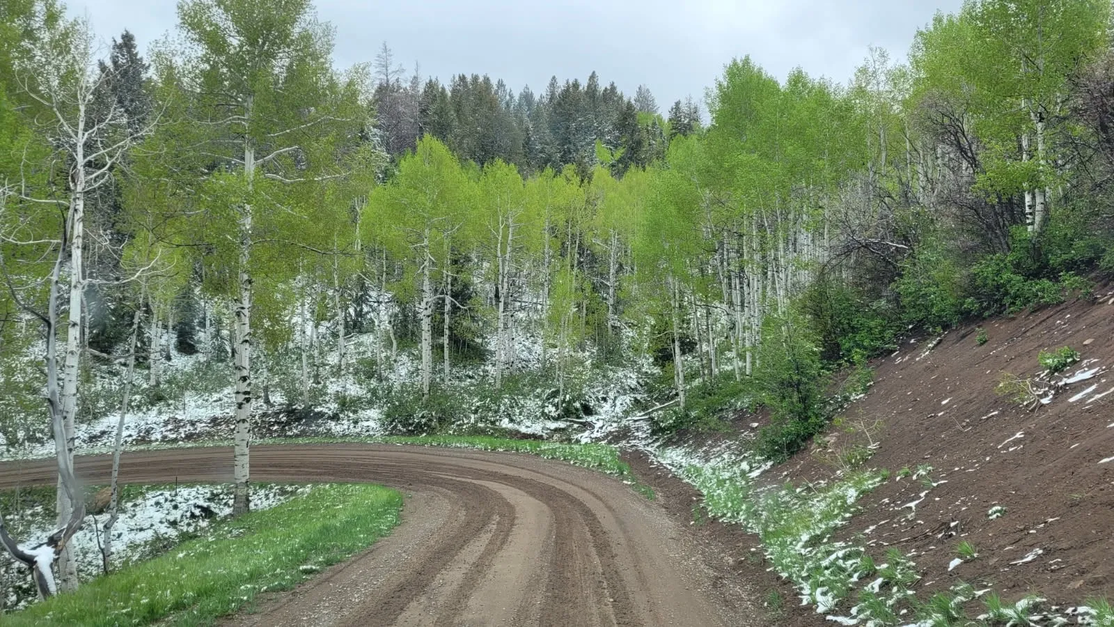 View of dirt / gravel road