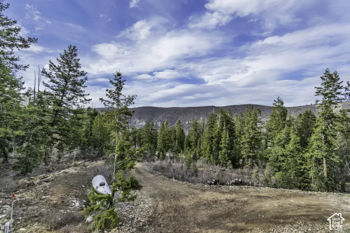 17029 S Alta Dr, Spanish Fork, Utah 84660